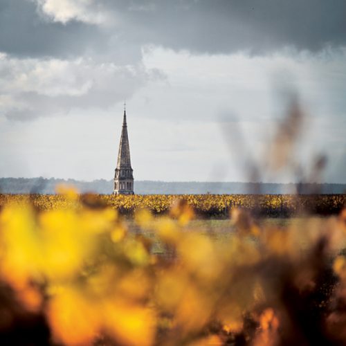 Sauternes